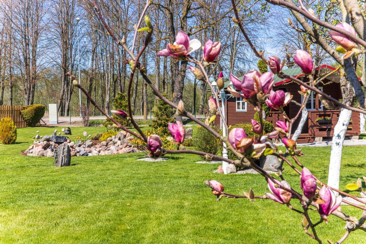 Zaliasis Kampas Nameliai Sventojoje Villa Sventoji Bagian luar foto