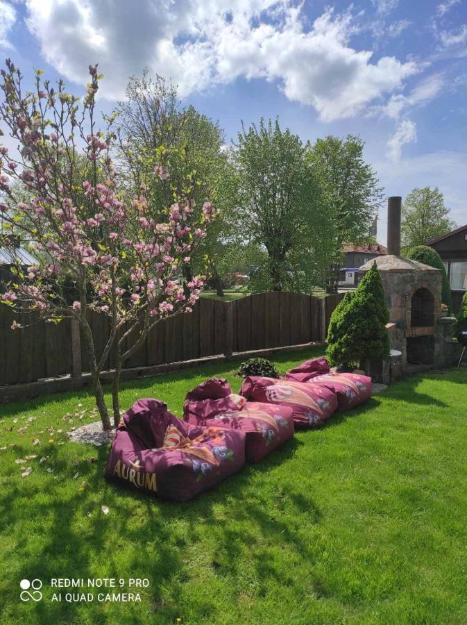Zaliasis Kampas Nameliai Sventojoje Villa Sventoji Bagian luar foto